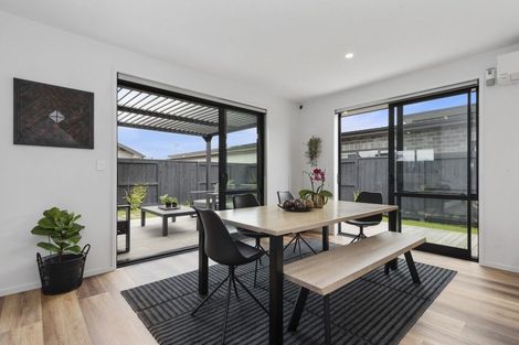 Photo of property in 17 Naismith Street, Chartwell, Hamilton, 3210