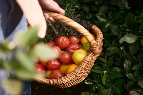 Photo of property in 10 Tui Glen Road, Birkenhead, Auckland, 0626