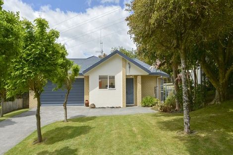 Photo of property in 175 Sapphire Drive, Hairini, Tauranga, 3112