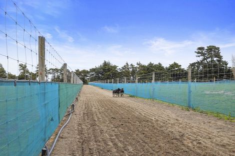 Photo of property in 176 Amberley Beach Road, Amberley, 7481