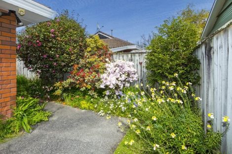 Photo of property in 31b Mcparland Street, Ebdentown, Upper Hutt, 5018