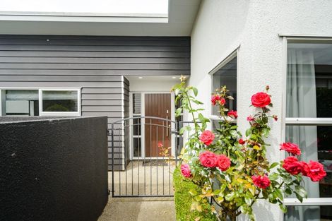 Photo of property in 19 Karina Terrace, Roslyn, Palmerston North, 4414