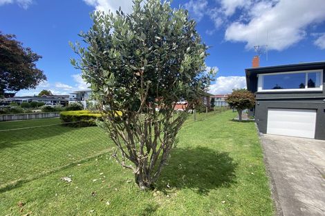 Photo of property in 242 Ngatai Road, Otumoetai, Tauranga, 3110