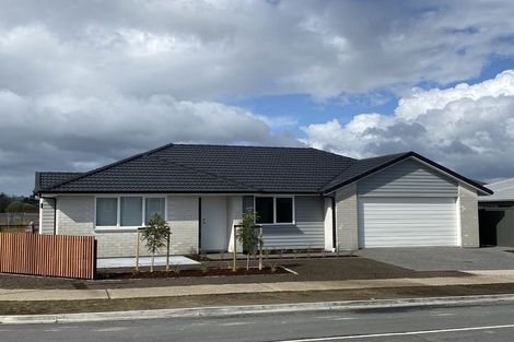 Photo of property in 1 Muddle Lane, Pyes Pa, Tauranga, 3112