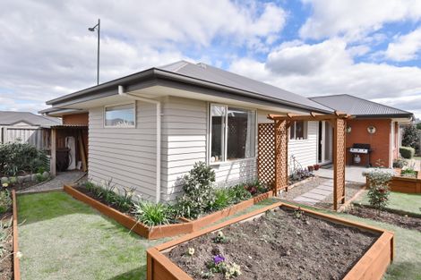 Photo of property in 234 Rolleston Drive, Rolleston, 7614