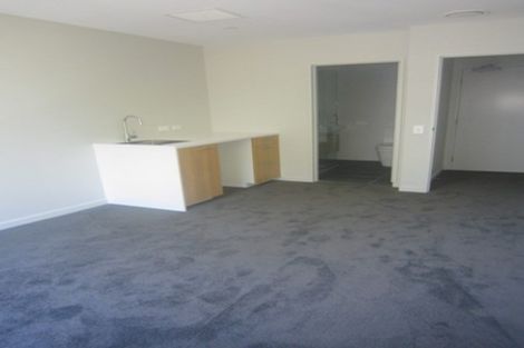 Photo of property in Vsp South, 102/166 Victoria Street, Te Aro, Wellington, 6011