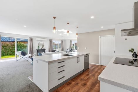 Photo of property in 40 Craig Thompson Drive, Lincoln, 7608