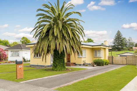Photo of property in 45 North Street, Morrinsville, 3300