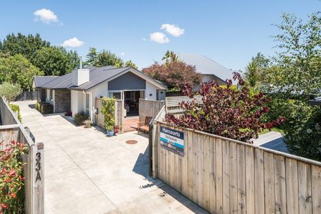 Photo of property in 33a Windsor Street, Terrace End, Palmerston North, 4410