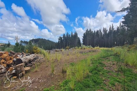 Photo of property in 872 Bickerstaffe Road, Maungaturoto, 0587