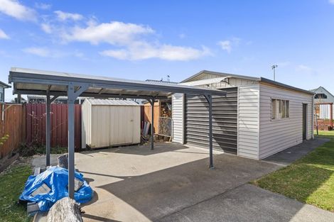 Photo of property in 19 Topia Drive, Turangi, 3334