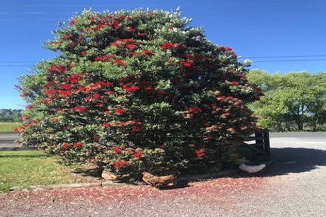 Photo of property in 19 Lloyd Road, Riverhead, Albany, 0793