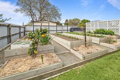 Photo of property in 51 Princes Street, Netherby, Ashburton, 7700