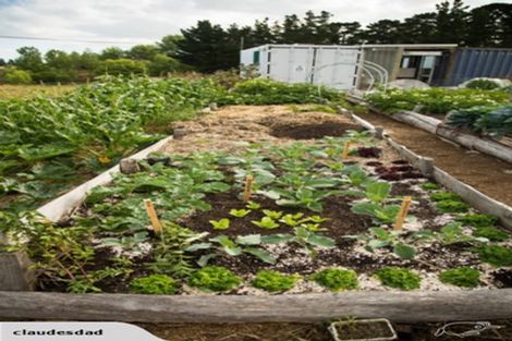 Photo of property in 148 Maskells Road, Balcairn, Amberley, 7481