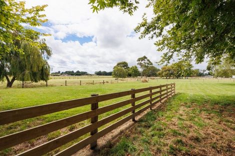 Photo of property in 512 Milson Line, Newbury, Palmerston North, 4478