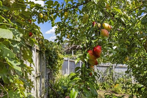 Photo of property in 49a Government Road, Raglan, 3225