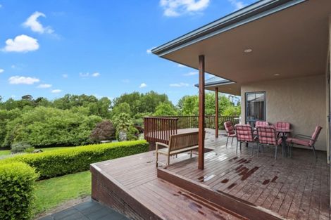 Photo of property in 12 Oak Street, Morrinsville, 3300