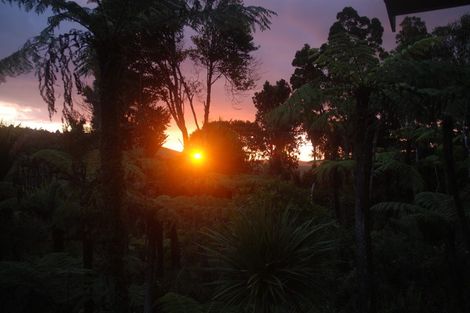 Photo of property in 45 Jonkers Road, Waitakere, Henderson, 0782