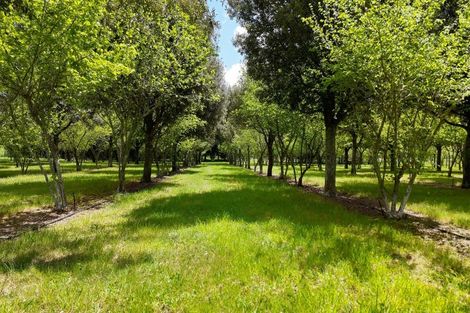 Photo of property in 1156 Braemar Road, Rotoma, Whakatane, 3192