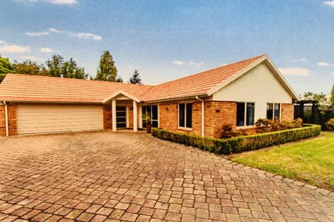 Photo of property in 19a Munro Place, Flagstaff, Hamilton, 3210