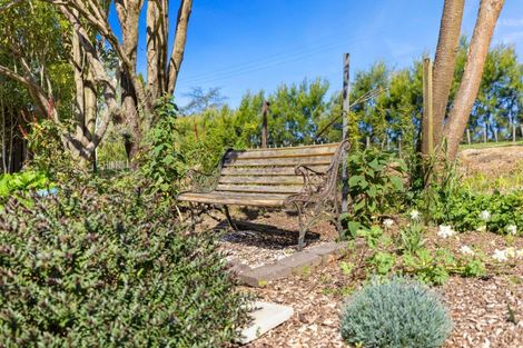 Photo of property in 213 Kauri Point Road, Tahawai, Katikati, 3170