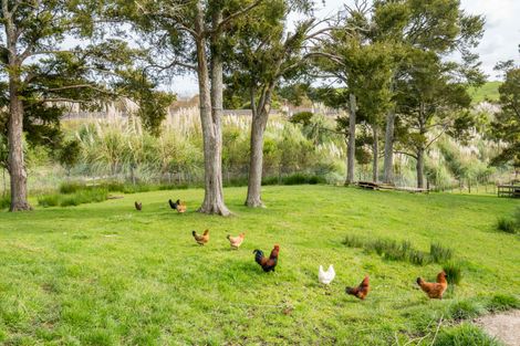 Photo of property in 1357 State Highway 12, Maungaturoto, 0583