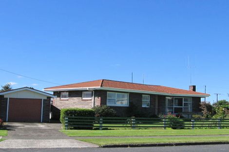 Photo of property in 22 Grey Street, Putaruru, 3411