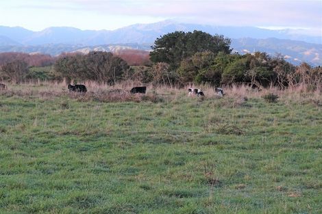 Photo of property in 23 Kiharoa Street, Otaki Beach, Otaki, 5512