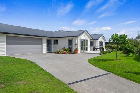 Photo of property in 55 Seagrass Place, Otaki Beach, Otaki, 5512