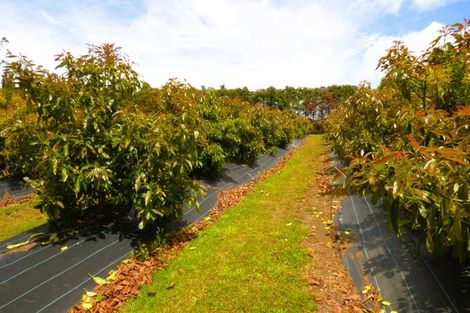 Photo of property in 42c Tyree Road, Waipapa, Kerikeri, 0295