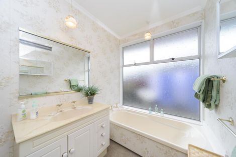 Photo of property in 117 Roy Street, Palmerston North, 4410