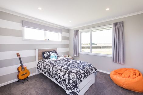Photo of property in 467 Lees Road, Feilding, 4775