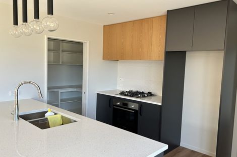 Photo of property in 3 Amrit Lane, Rolleston, 7614