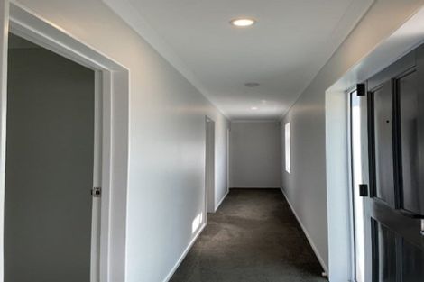 Photo of property in 56 Tuarangi Road, Grey Lynn, Auckland, 1021