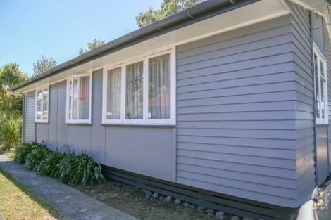 Photo of property in 17 Noni Street, Turangi, 3334