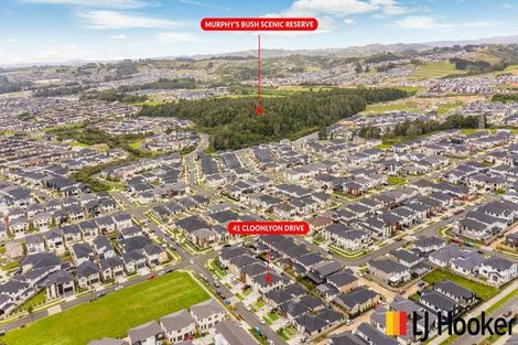 Photo of property in 41 Cloonlyon Drive, Flat Bush, Auckland, 2019
