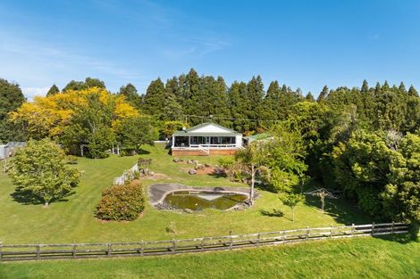 Photo of property in 1622 Te Matai Road, Te Ranga, Te Puke, 3188