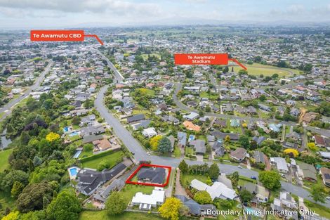 Photo of property in 364 Wallace Terrace, Te Awamutu, 3800