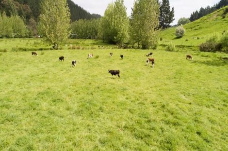 Photo of property in 186 Kaukatea Valley Road, Okoia, Whanganui, 4582