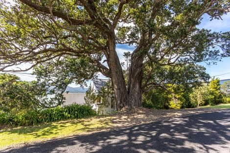 Photo of property in 1485 Wyuna Bay Road, Wyuna Bay, Coromandel, 3581