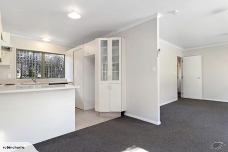 Photo of property in 1 Harrier Street, Parkvale, Tauranga, 3112