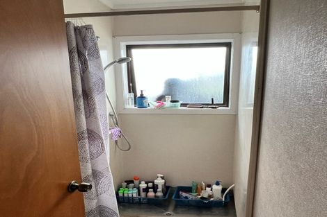 Photo of property in 52 Anglesea Street, Hamilton Central, Hamilton, 3204