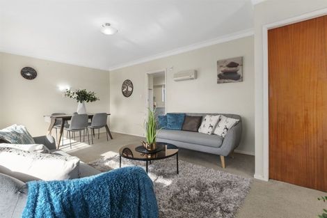 Photo of property in 5a Laing Place, Otumoetai, Tauranga, 3110