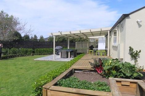 Photo of property in 913 Williams Street, Mahora, Hastings, 4120