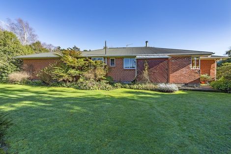 Photo of property in 320 Brookside & Irwell Road, Leeston, 7682