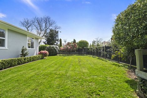 Photo of property in 42 Park Road, West End, Palmerston North, 4412