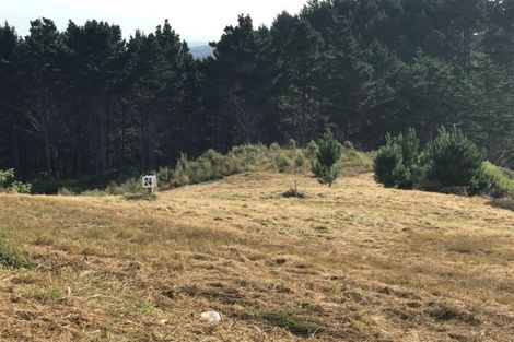 Photo of property in 167 Solway Road, Whitford, Manurewa, 2576