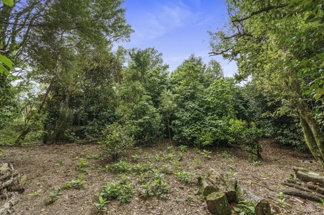 Photo of property in 1135 Richmond Road, Everett Park, Inglewood, 4389