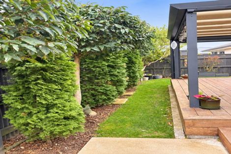 Photo of property in 2 Angus Place, Carterton, 5713