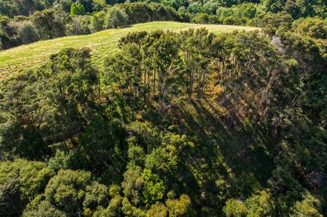 Photo of property in 305 Waingaro Road, Ngaruawahia, 3793